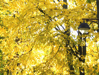 Similar image 22030768