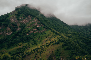 Similar image 22036796