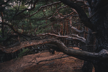 Similar image 22031847