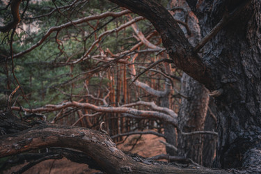 Similar image 22031852