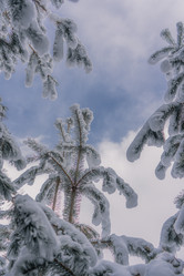 Similar image 22030824