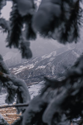 Similar image 22030828