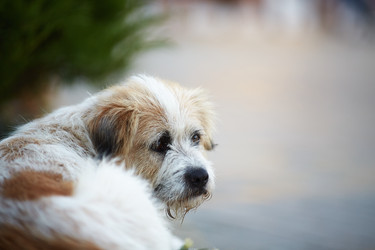 Similar image 22031390