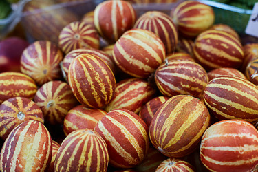 Similar image 22031405