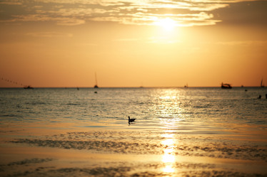 Similar image 22031423