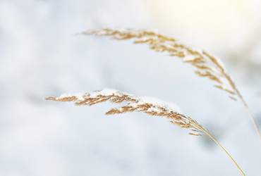 Similar image 22031436