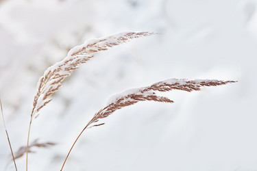 Similar image 22031439