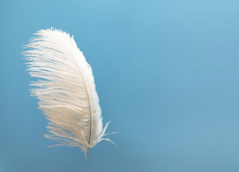 Similar image 22031472