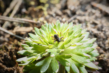 Similar image 22031484