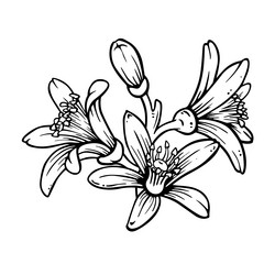 Similar image 22030805