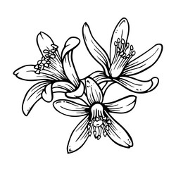 Similar image 22030806