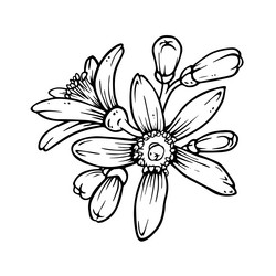 Similar image 22030807