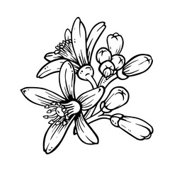 Similar image 22030808