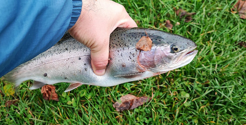 Similar image 22030949