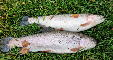 Similar image 22031305