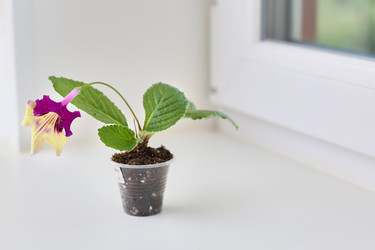 Similar image 22031510