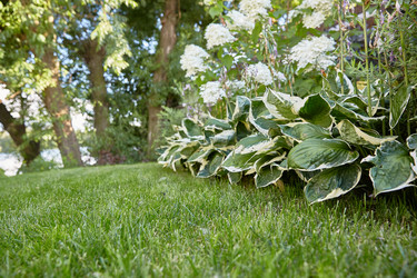 Similar image 22031514