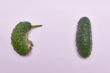 Similar image 22031517