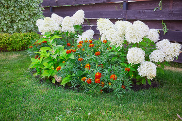 Similar image 22031738