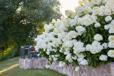 Similar image 22031742