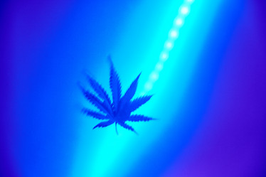 Similar image 22031744