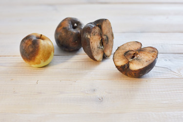 Similar image 22031748