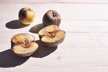 Similar image 22031750