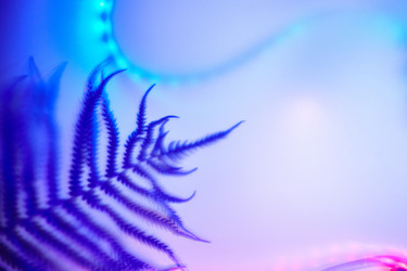 Similar image 22031760