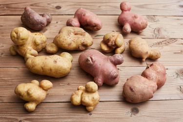 Similar image 22031761