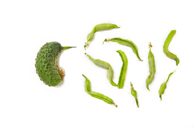 Similar image 22031767