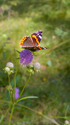 Similar image 22044731