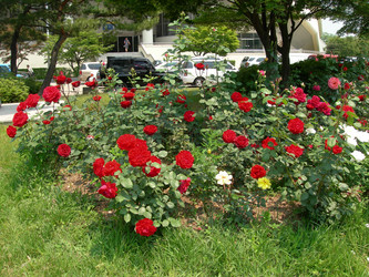 Similar image 22031334