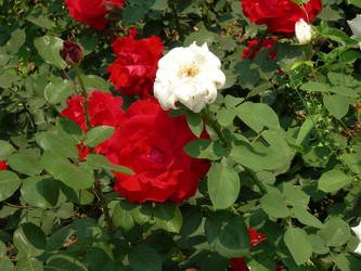 Similar image 22031335