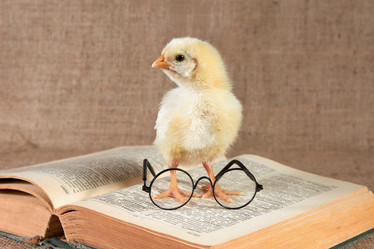 Similar image 22036807