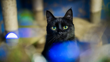 Similar image 22037615