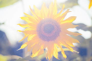 Similar image 22037619