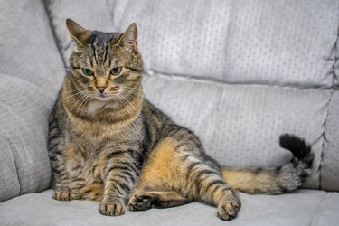 Similar image 22037620