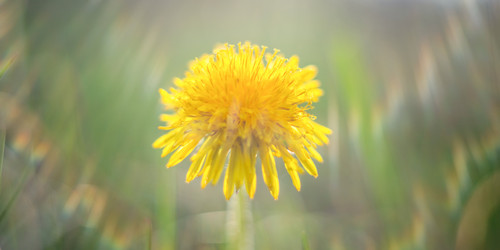 Similar image 22037622