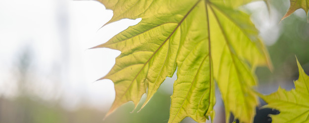 Similar image 22037623