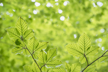 Similar image 22037625