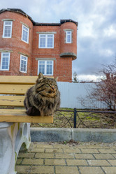 Similar image 22037627