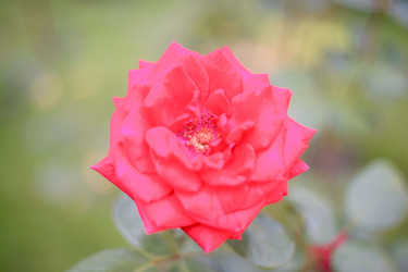 Similar image 22037628