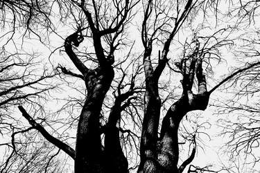 Similar image 22037629