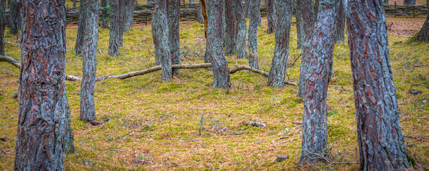 Similar image 22037631