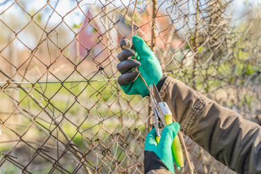 Similar image 22037633