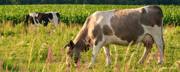 Similar image 22037640