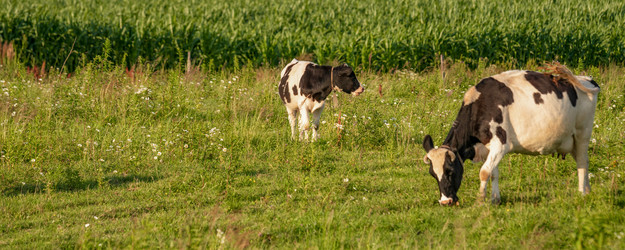 Similar image 22037644