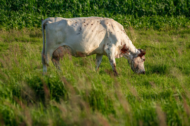 Similar image 22037646