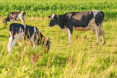 Similar image 22037647