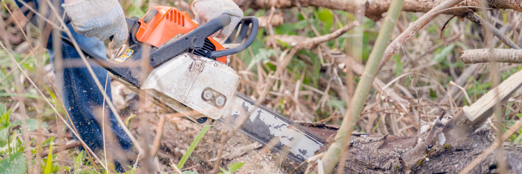 Similar image 22037648